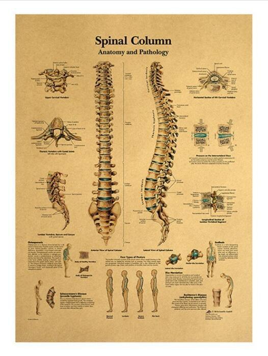 Canvas Core Home Decor Spine Poster