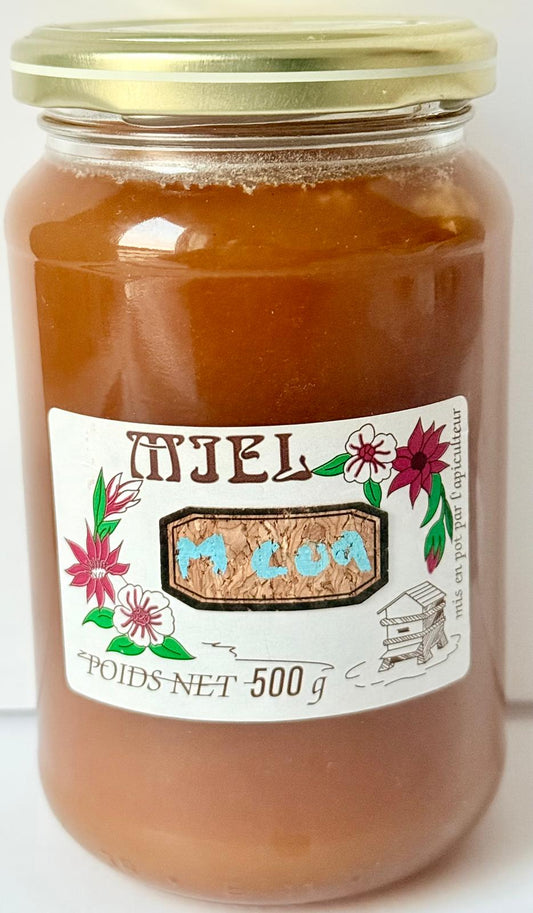 Miel de corse Bio origine France - pot de 500g